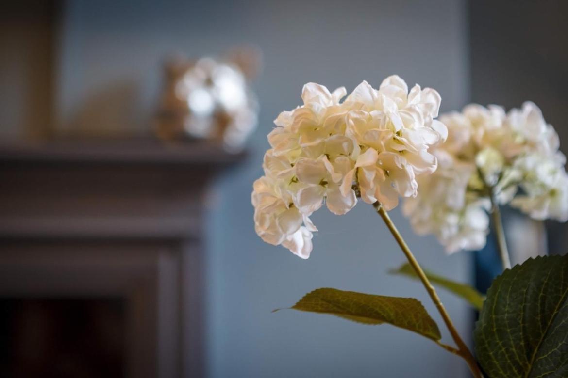 Westbourne House Villa Scarborough Ngoại thất bức ảnh